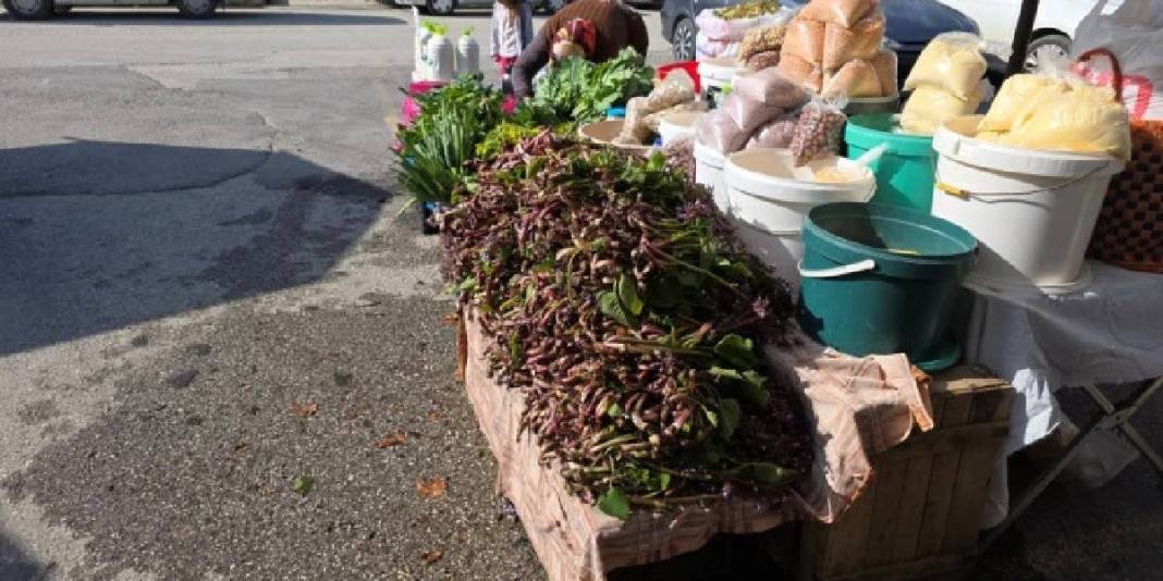 Baharda kendi kendine yetişiyor, pazarın gözdesi oluyor: Kilosu 100 TL’den alınıyor 4